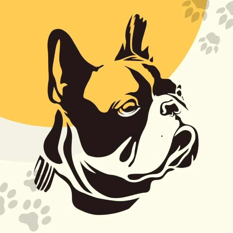 Choose your customized pet pattern - Image 3