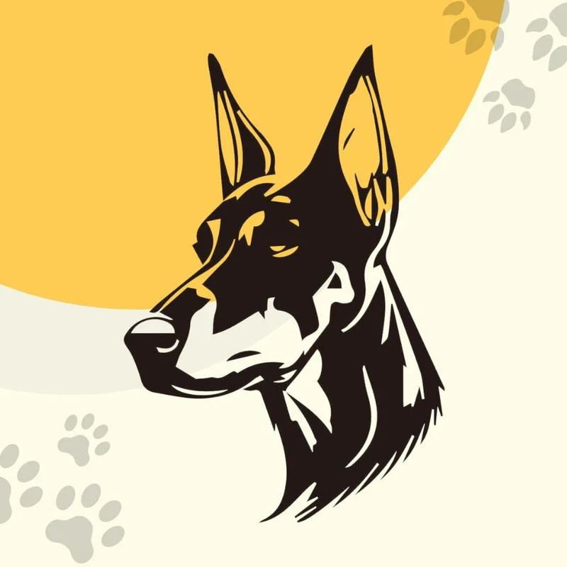 Choose your customized pet pattern - Image 4