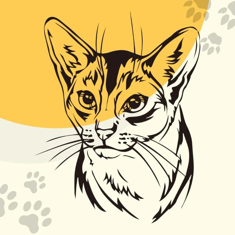 Choose your customized pet pattern - Image 8